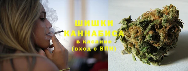 spice Богородицк