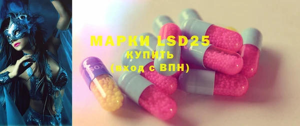 spice Богородицк