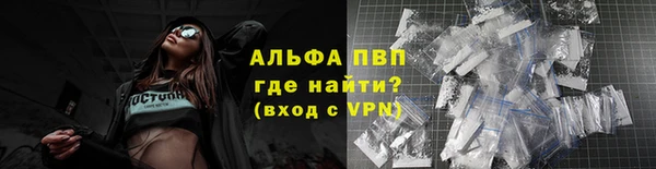 spice Богородицк