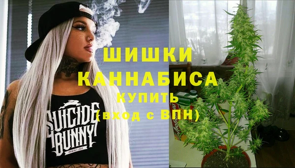 таблы Богданович