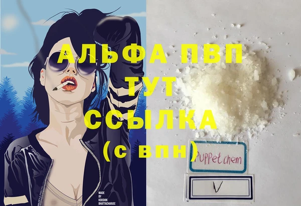 spice Богородицк