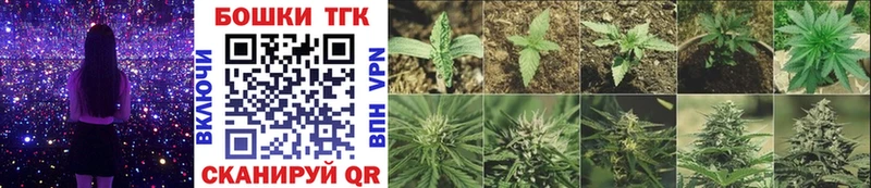 закладки  Мариинский Посад  Шишки марихуана SATIVA & INDICA 